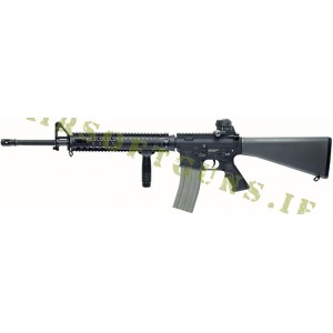 R5 Gun
